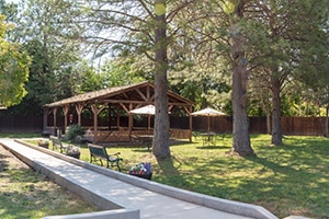 Spacious courtyards and lawn at the Redwood Cove facility