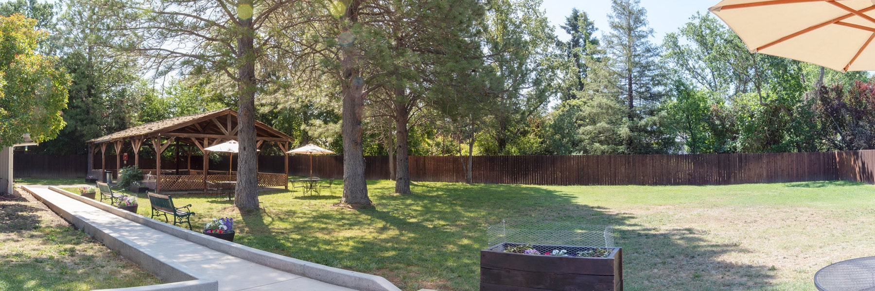 Desktop Background Image